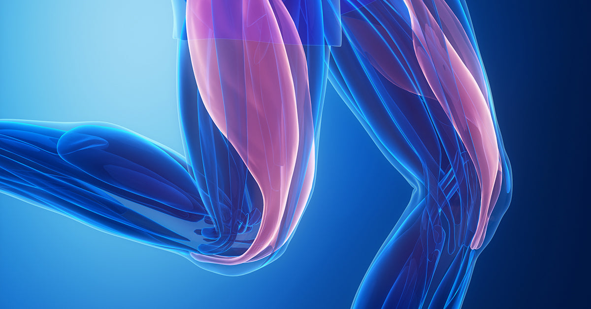 What is Fascia and Why Should You Care About It?
